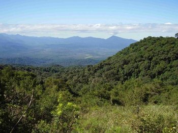 Cerro Chañar