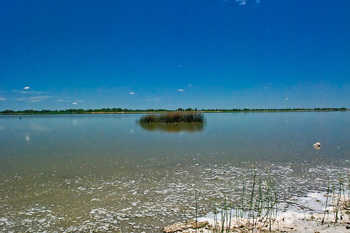 La Laguna de Chascomús