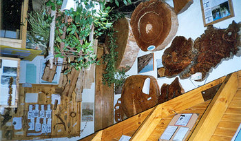 Museo del Árbol y la Madera