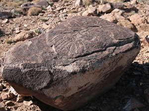Petroglifos de Colo Michico