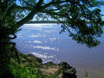 Reserva Natural Isla del Cerrito
