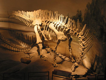 Museo Paleontológico Egidio Feruglio