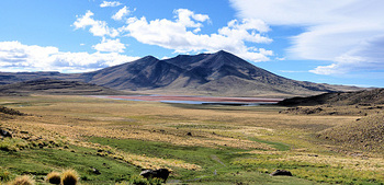 Área Natural Protegida Volcán Tromen